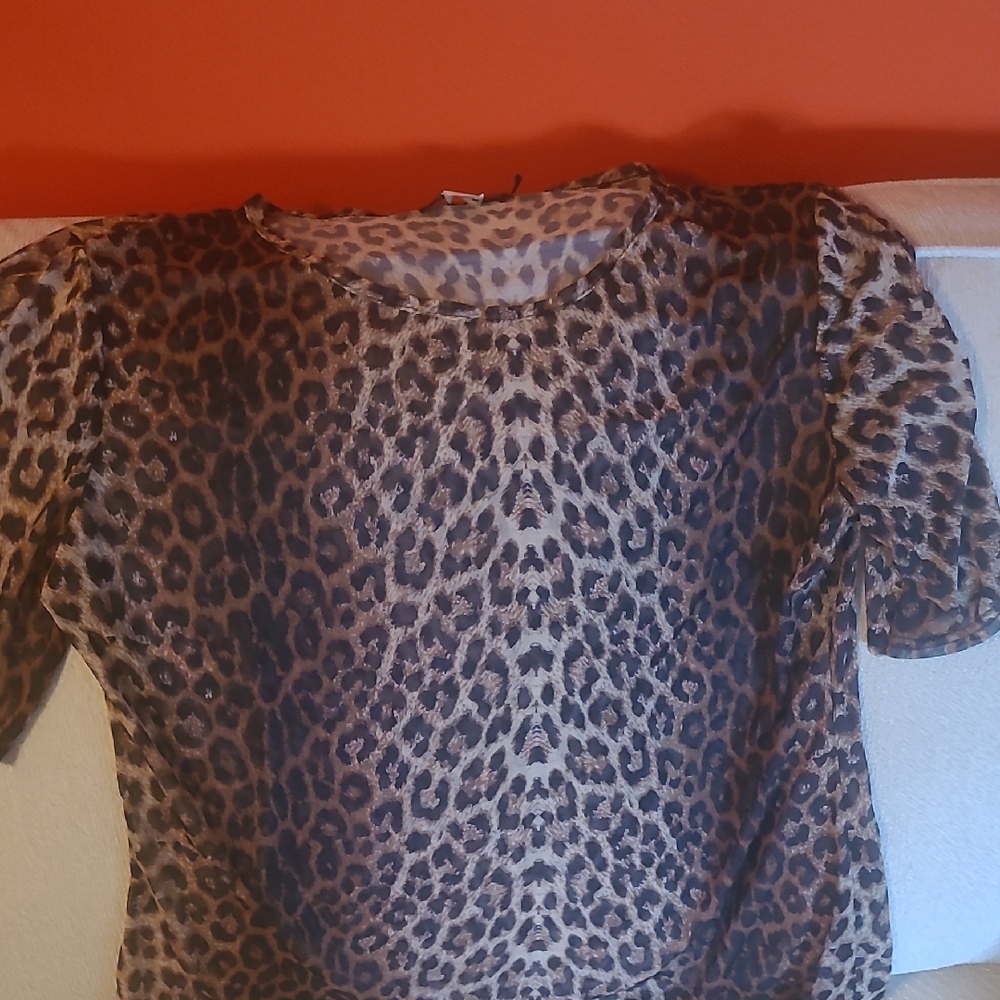 2 For $25 Leopard Print Sheer Top